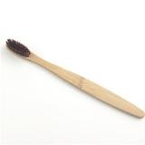 Eco-Awesome Oral Care Biodegradable Toothbrushes Products